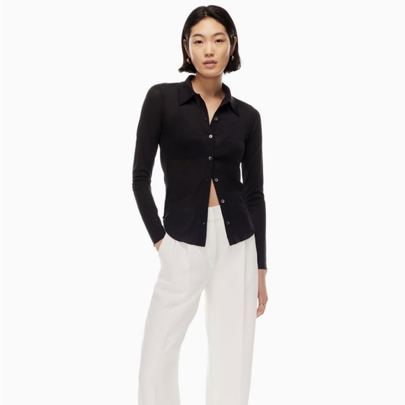 Aritzia mesh button up top - Picture 1 of 4